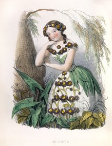 Allegory, the Forget-Me-Not