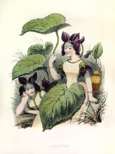 Allegory, the Violet