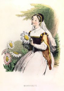 Allegory, the Daisy