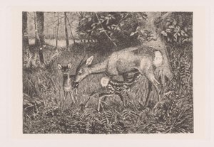 Deer with Two Fawns