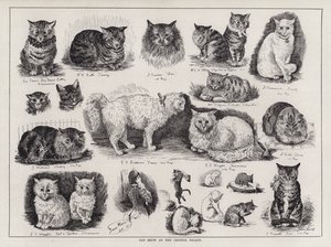 Cat Show at the Crystal Palace by Louis Wain