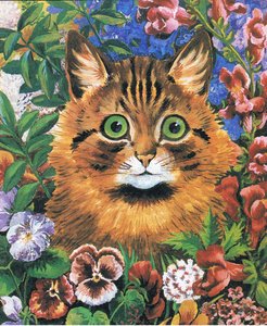 Cat study