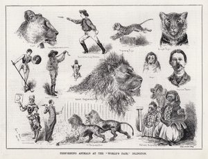 Performing Animals at the World