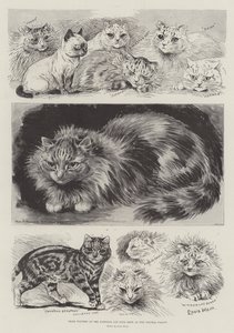 Prize Winners at the National Cat Club Show at the Crystal Palace by Louis Wain
