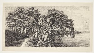 Old Oaks by Hald Lake by Louise Ravn Hansen