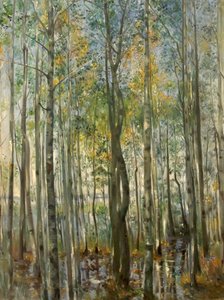 A Forest. Flooding on Lake Starnberg