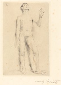 Young Male Nude