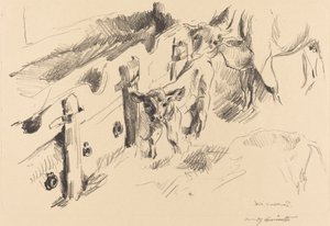 Calves by Lovis Corinth