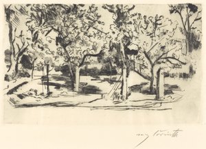 Orchard