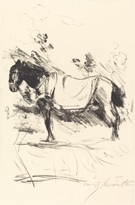 Riding-Horse, 1916 by Lovis Corinth