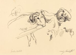 Rams by Lovis Corinth