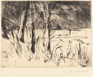 Tiergarten Zoological Garden by Lovis Corinth