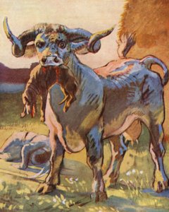 Illustration for Stories of Guy of Warwick