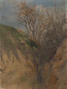 Ditch by Laszlo Mednyanszky