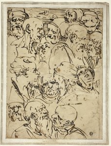 Sketches of Heads by Luca Cambiaso