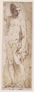 Youth with a Mantle Standing in a Niche