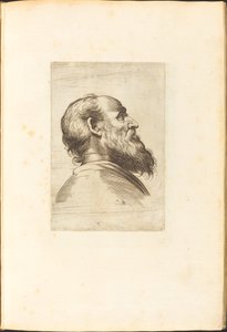 Print from Drawing Book by Luca Ciamberlano