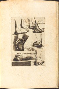 Print from Drawing Book