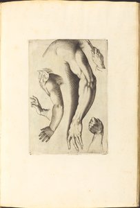 Print from Drawing Book