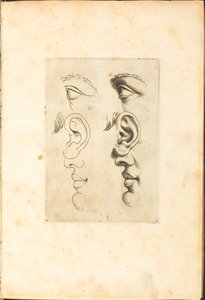 Print from Drawing Book
