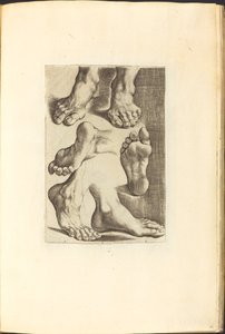 Print from Drawing Book