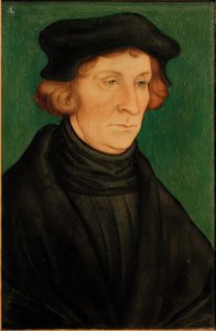 Portrait of a Scholar (Otto Brunfels) by Lucas Cranach the Elder
