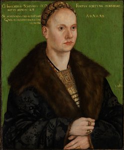 Portrait of the Humanist Christoph Scheurl by Lucas Cranach the Elder