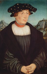Portrait of Hans Melber, 1526