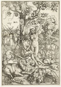 The Fall of Man by Lucas Cranach the Elder
