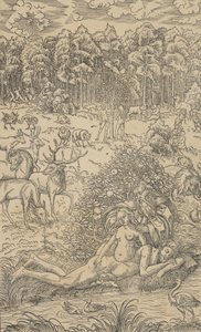 The Creation of Eve by Lucas Cranach the Younger  