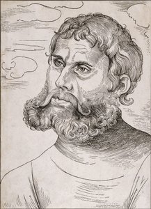Portrait of Martin Luther as 