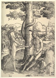 Fall of Man, Adam and Eve