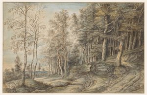 Forest Landscape by Lucas van Uden
