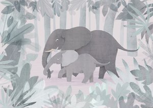 Elephants