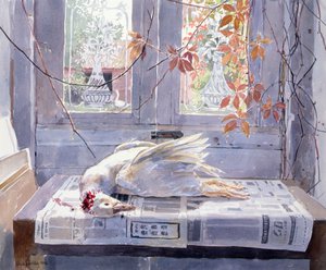 Summer (A Gander