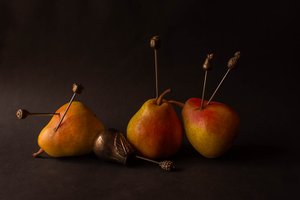 Moody Harvest Fruits by Ludmila Shumilova