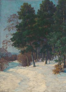 Forest in Winter