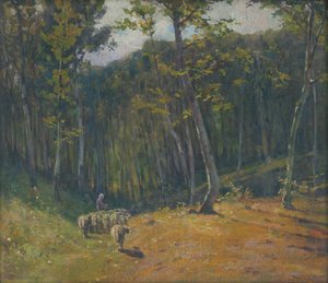 Sheep in the Forest