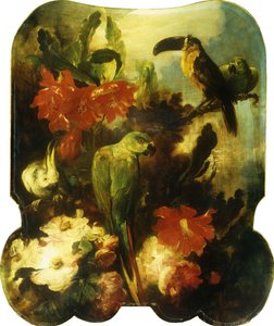 Exotic Birds and Flowers