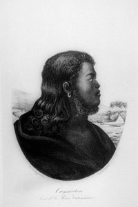 Chief Kalanimoku by Ludwig Choris