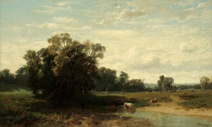 Cattle Pasture at Dawn