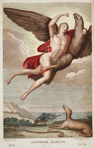 Ganymede carried off into Heaven, Book X, illustration from Ovid