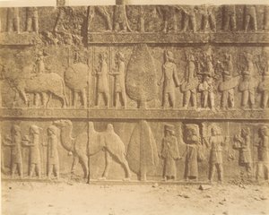 Persepolis by Luigi Pesce