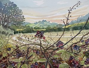 Ripe Blackberries Landscape by Luisa Millicent