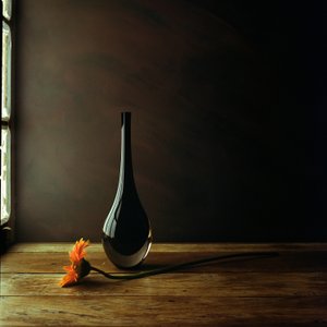 Elegant Vase Gerbera Still Life by Luiz Laercio