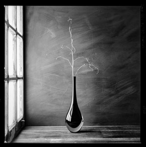 Minimalist Branch Vase by Luiz Laercio