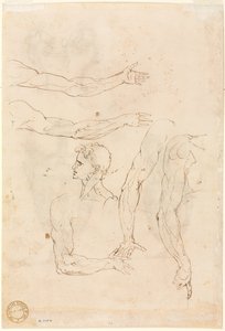 Sketches of Five Arms and a Head Verso, mid 1500s