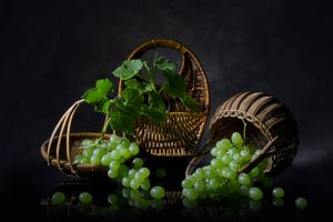 Abundant Grapes Still Life