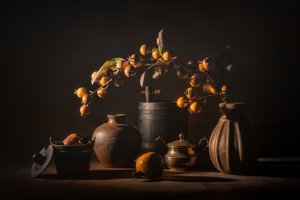 Autumn Fruit Still Life
