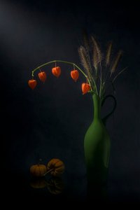 Autumn Lantern Still Life